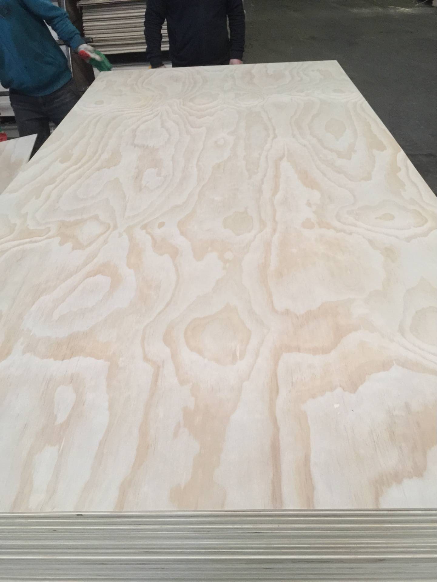1220x2440x18MM Fruniture Grade Pine Plywood